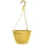 Grower Select 10.00 Everest Hanging Basket, With 18in Hanger, Blush Sunglow, 70 per Case, 10.08in OD x 6.99in H, 1.5 Gallon — thumbnail 2 of 2