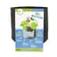 Smart Pot Pond Pot 2gal Black — thumbnail 2 of 2