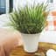 HC 7" Sedona Planter Cottage Stone — thumbnail 2 of 2
