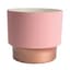 HC 5" Sprite Succulent Pot Blush — thumbnail 2 of 2