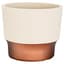 HC 7" Sprite Succulent Pot Vanilla Bisque — thumbnail 2 of 2
