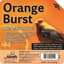 Heath 11.25oz Orange Burst All-Season High Energy Suet Cake — thumbnail 2 of 2