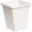 HDF 9"X9" Square White  Pot 10" Tall — thumbnail 2 of 2
