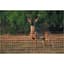 Tenax 7.5'x330' Black Deer Fence Select 1.77"x1.97" Mesh — thumbnail 2 of 2