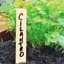 Gardener's Blue Ribbon 24pk 6" Bamboo Plant Labels — thumbnail 2 of 2