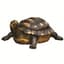MCarr Turtle Large — thumbnail 2 of 2