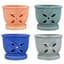 MCarr 12PC 5.5" 4 Petal Orchid Pot Mix Asst — thumbnail 2 of 2