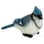 MCarr Small Blue Jay — thumbnail 2 of 2