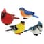 MCarr 4pc Mixed Small Bird Assortment — thumbnail 2 of 2