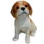 MCarr 8" Cavalier King Puppy — thumbnail 2 of 2