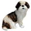 MCarr 9" Shih Tzu Puppy — thumbnail 2 of 2