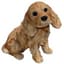 MCarr 10" Cocker Spaniel Puppy Brown — thumbnail 2 of 2