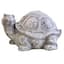 MCarr Small Turtle Face Sideways — thumbnail 2 of 2