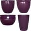 MCarr 26pc Mix Planter Pallet Amethyst — thumbnail 2 of 2