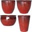 MCarr 26pc Mix Planter Pallet Red Wine — thumbnail 2 of 2