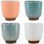 MCarr 24PC 4.3" X-Small Planter Set Mixed — thumbnail 2 of 2