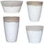MCarr 28pc Volcanic Mixed Planter Pallet Assortment White — thumbnail 2 of 2