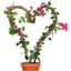Mossify 42" Bendable Moss Pole Thin Bulk Pack — thumbnail 2 of 2