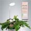 Mossify 28" Adjustable LED Plant Light White — thumbnail 2 of 2