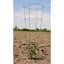 Midwest Wire Works 54" Heavy Duty Cage 4 Ring 4 Leg — thumbnail 2 of 2