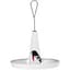 Audubon Limited Edition Eggpicnic Audubon Round Tray Metal Platform Feeder — thumbnail 2 of 2