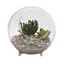 Panacea 10"D Large Glass Terrarium Sphere With Feet — thumbnail 2 of 2