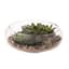 Panacea 10"D Glass Flat Terrariium Tabletop Bowl Planter With Metal Stand — thumbnail 2 of 2