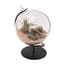 Panacea 4"D Desktop Glass Terrarium Planter With Metal Stand — thumbnail 2 of 2