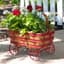 Panacea 14" Industrial Wagon Antique Red — thumbnail 2 of 2