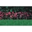Panacea 10"x10' White Arch Folding Fence — thumbnail 2 of 2