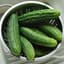 Cucumber, Patio Snacker 1000 Seed Count — thumbnail 2 of 2