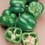 Peppers, North Star Treated 100 Seed Count — thumbnail 2 of 2