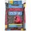 Penn Select 10# Black Oil Sunflower Seed — thumbnail 2 of 2
