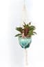 Primitive 42" Cotton Woven Hanger Plain Cord — thumbnail 2 of 2