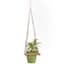 Primitive 10" Square Cutout Hanging Table — thumbnail 2 of 2