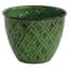 Robert Allen 5" Diamond Planter Kale — thumbnail 2 of 2