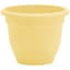 Bloem 8" Ariana Planter Daffodil — thumbnail 2 of 2