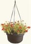 Bloem 12" Dura Cotta Hanging Basket Black — thumbnail 2 of 2