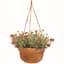 Bloem 12" Dura Cotta Hanging Basket Terra Cotta — thumbnail 2 of 2