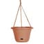 Bloem 13" Hanging Basket Terra Cotta — thumbnail 2 of 2