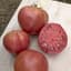 Tomato, Brandywine Pink Potato Leaf 100 Seed Count — thumbnail 2 of 2