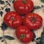 Tomato, Box Car Willie 500 Seed Count — thumbnail 2 of 2