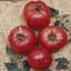 Tomato, German Johnson 100 Seed Count — thumbnail 2 of 2