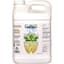 SLF-100 2.5 Gallon Bottle — thumbnail 2 of 2