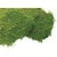 SuperMoss 1560cu in Bulk Sheet Moss Fresh Green (Covers 16-18sq ft) — thumbnail 2 of 2