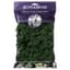 SuperMoss 2oz Reindeer Moss Forest — thumbnail 2 of 2