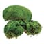 SuperMoss 200cu Bag Preserved Royal Pool Moss — thumbnail 2 of 2