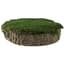 SuperMoss 2" MossyTree Stump Fresh Green — thumbnail 2 of 2