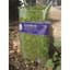 SuperMoss 16oz Forest Moss Preserved Fresh Green — thumbnail 2 of 2