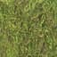 SuperMoss 3# Bulk Preserved Forest Moss — thumbnail 2 of 2